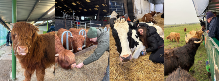 You can cuddle cows on this East Yorkshire farm!
